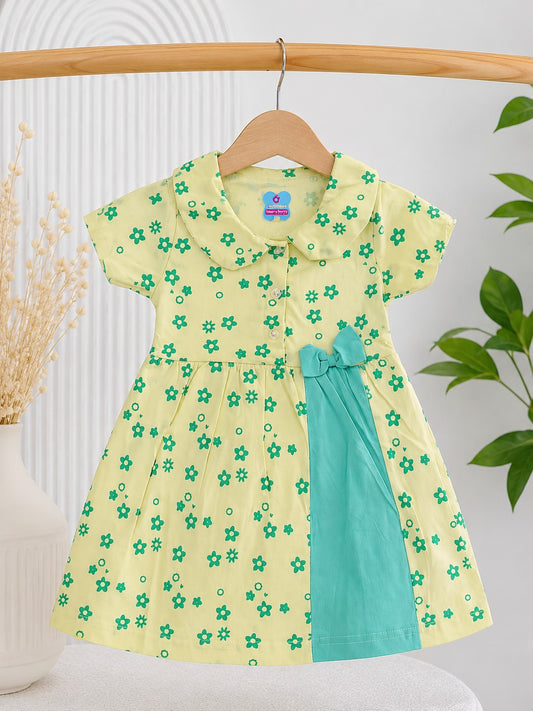 Little Bloom Princess Frock