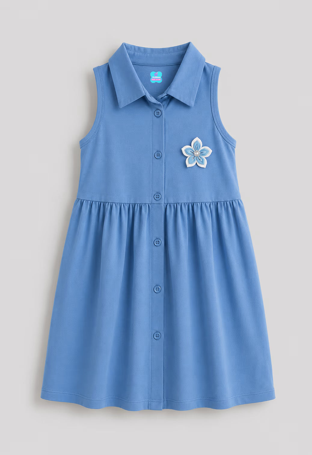 Blue Blossom Collared Dress